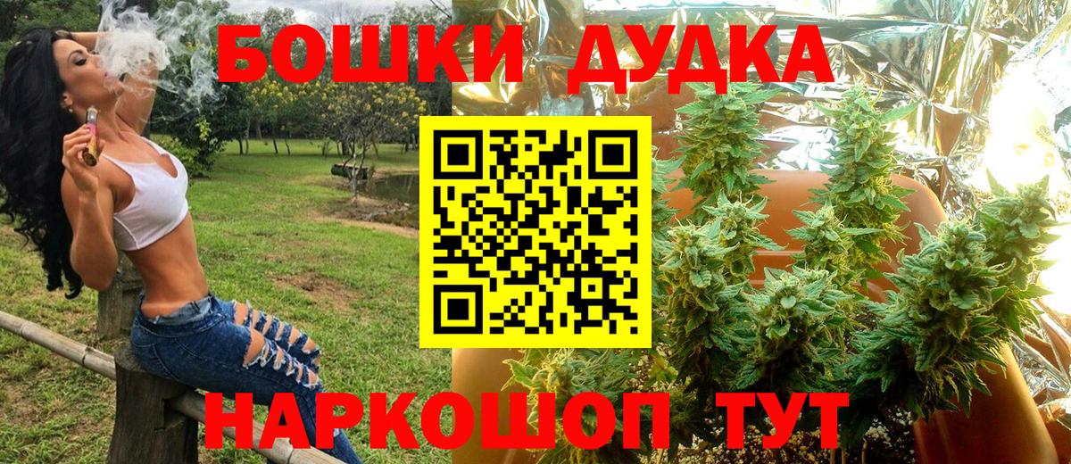 МАРИХУАНА сатива Нарткала